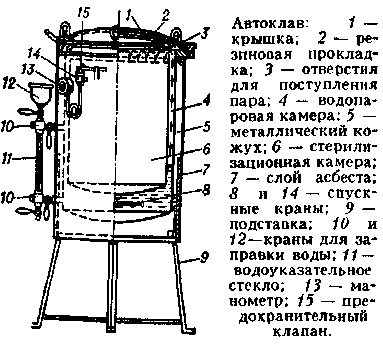 медицинский словарь русско чешский